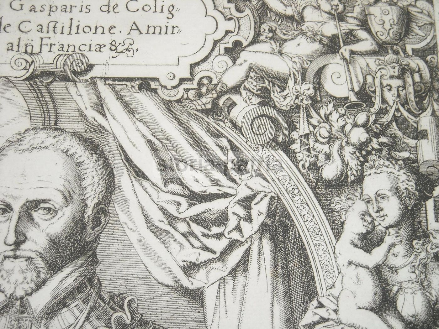 Ritratto Di Gaspard De Coligny, Ammiraglio Di Francia