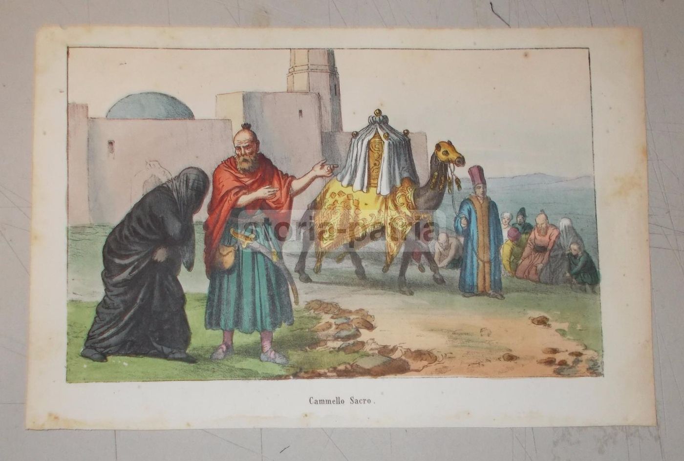 Stampa Antica Orientalista Cammello Sacro Devozionale (circa 1850)