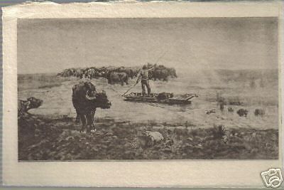 Cartolina d'Epoca: G. Raggio, Paludi Pontine, Galleria D'Arte Moderna, Roma