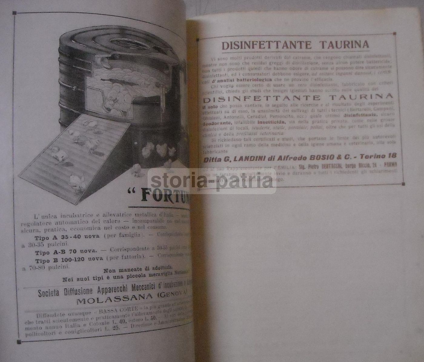 La Riforma Agraria: Rivista Mensile, Parma, Marzo 1922. Economia Agraria
