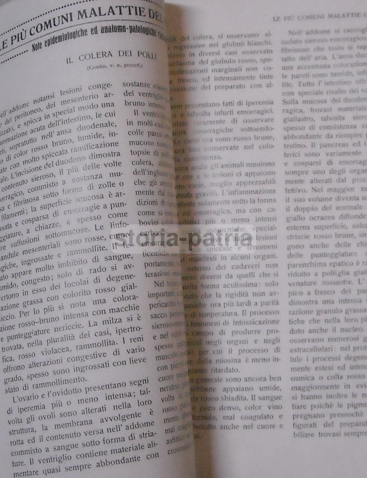 La Riforma Agraria: Rivista Mensile Illustrata Di Economia E Politica Agraria. Parma, Marzo 1923.