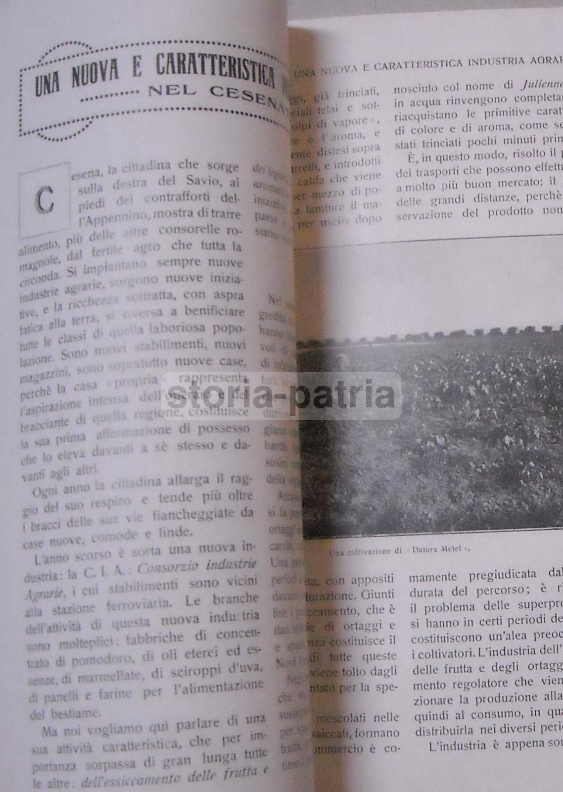 La Riforma Agraria: Rivista Mensile Illustrata Di Economia E Politica Agraria. Parma, Marzo 1923.