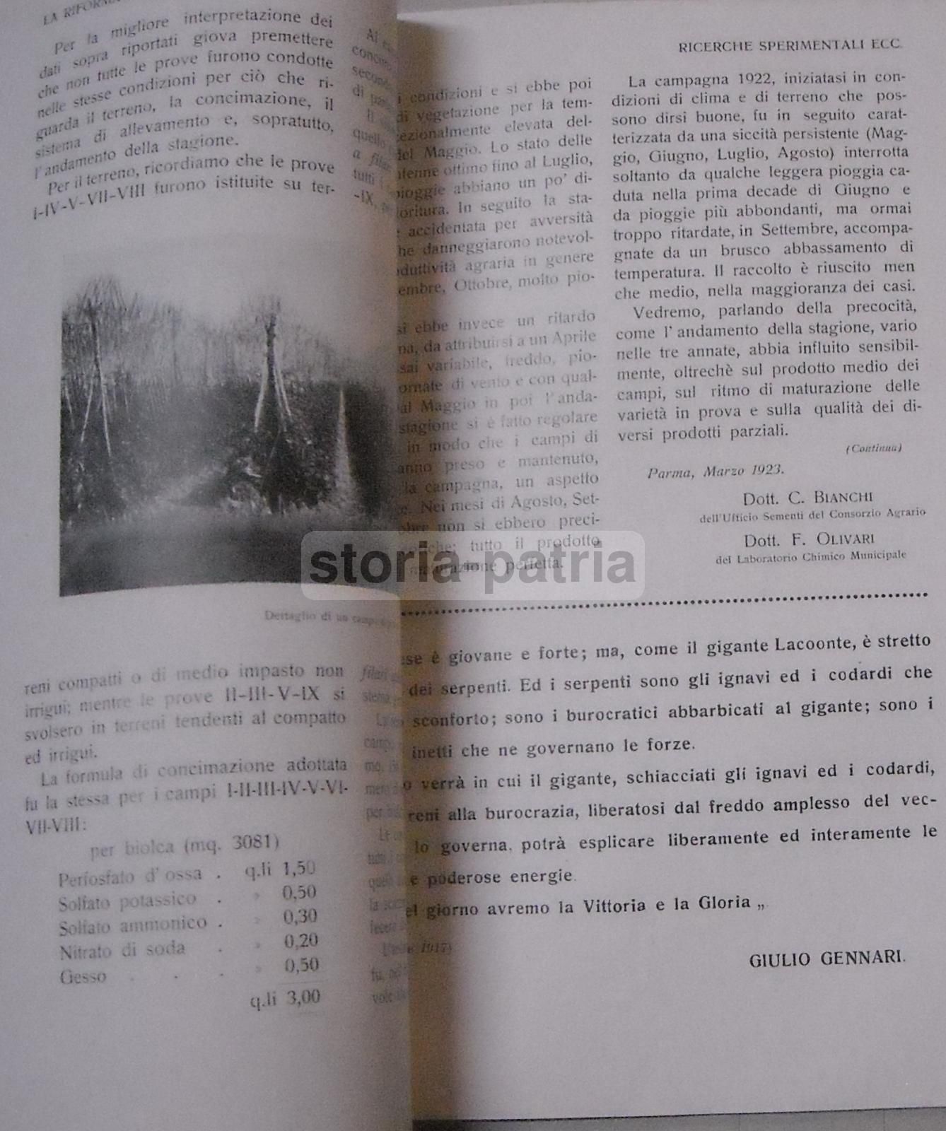 La Riforma Agraria: Rivista Mensile Illustrata Di Economia E Politica Agraria. Parma, Marzo 1923.
