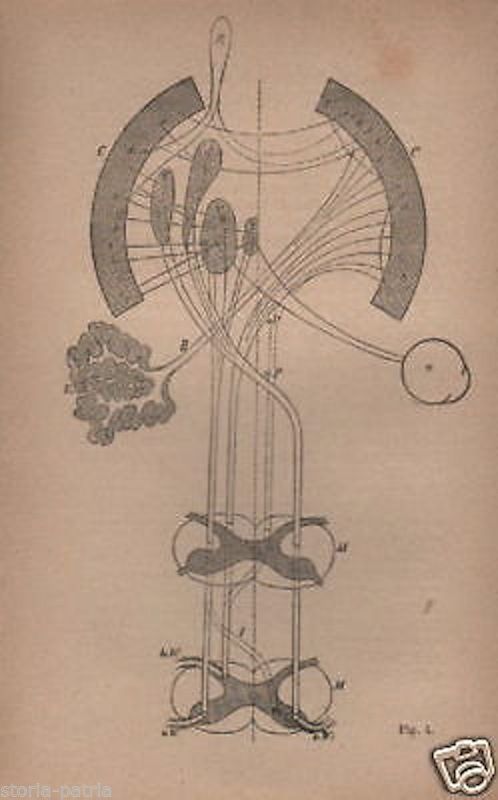 Paul Carus, Le Problème De La Conscience Du Moi, 1893: Filosofia E Neurologia