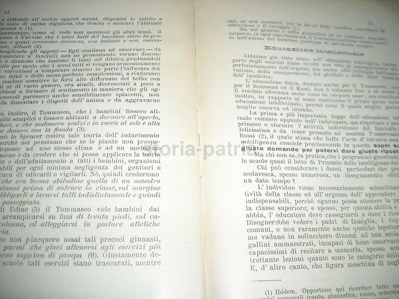 Le Idee Pedagogiche Di Niccolò Tommaseo (Aragona, 1904)