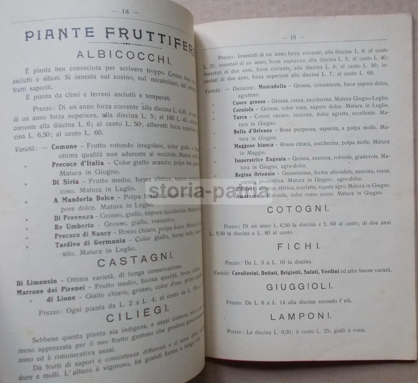 Listino Prezzi d'Uliva Orticultori Pescia 1911 1912: Olivi E Frutta