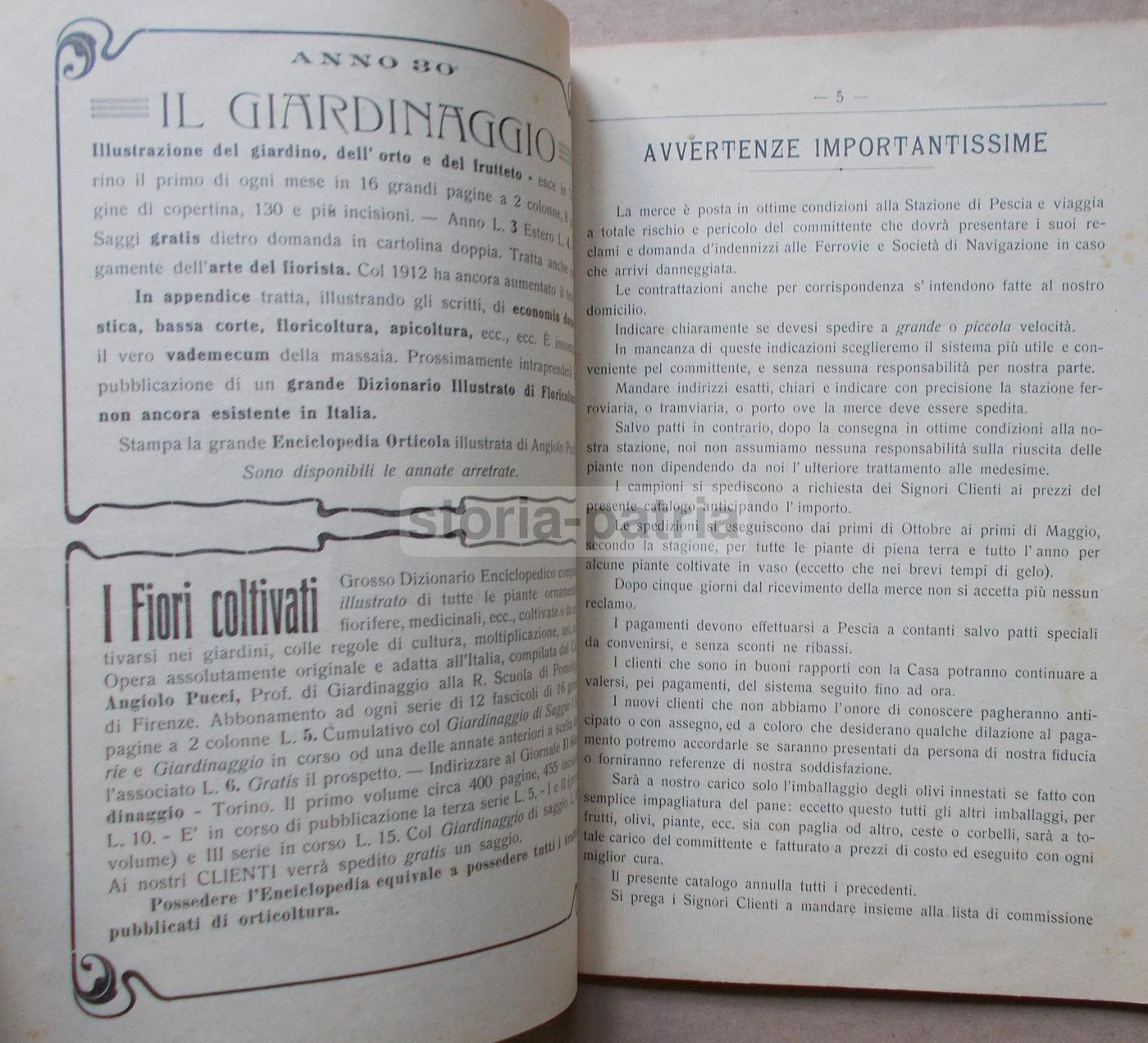 Listino Prezzi d'Uliva Orticultori Pescia 1911 1912: Olivi E Frutta