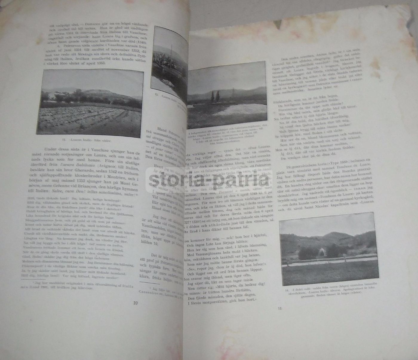 Petrarca I Vaucluse, Fredrik Wulff, Lund 1902