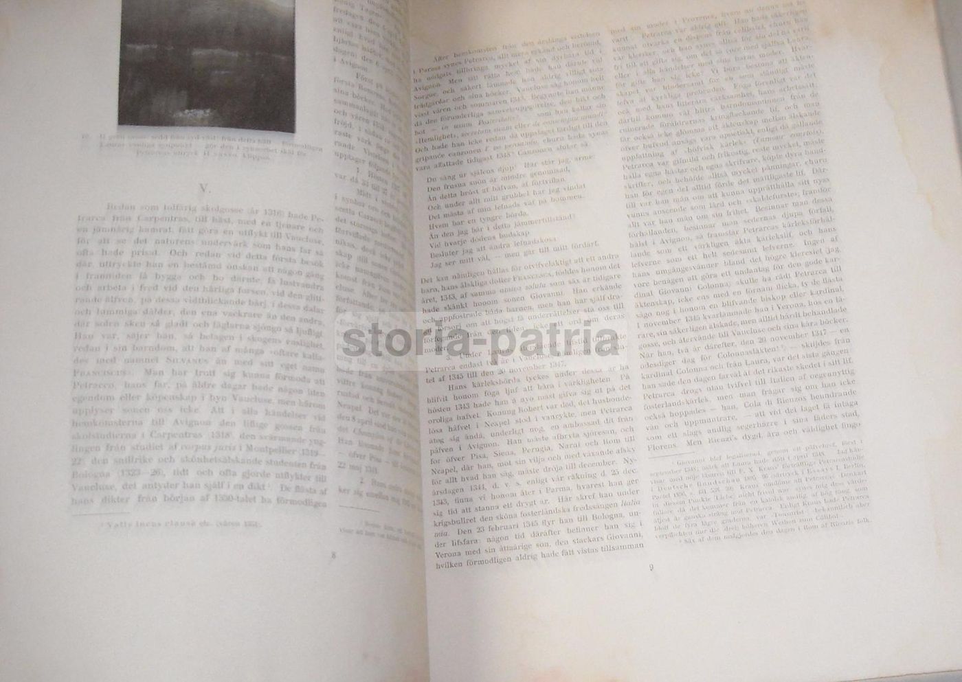 Petrarca I Vaucluse, Fredrik Wulff, Lund 1902