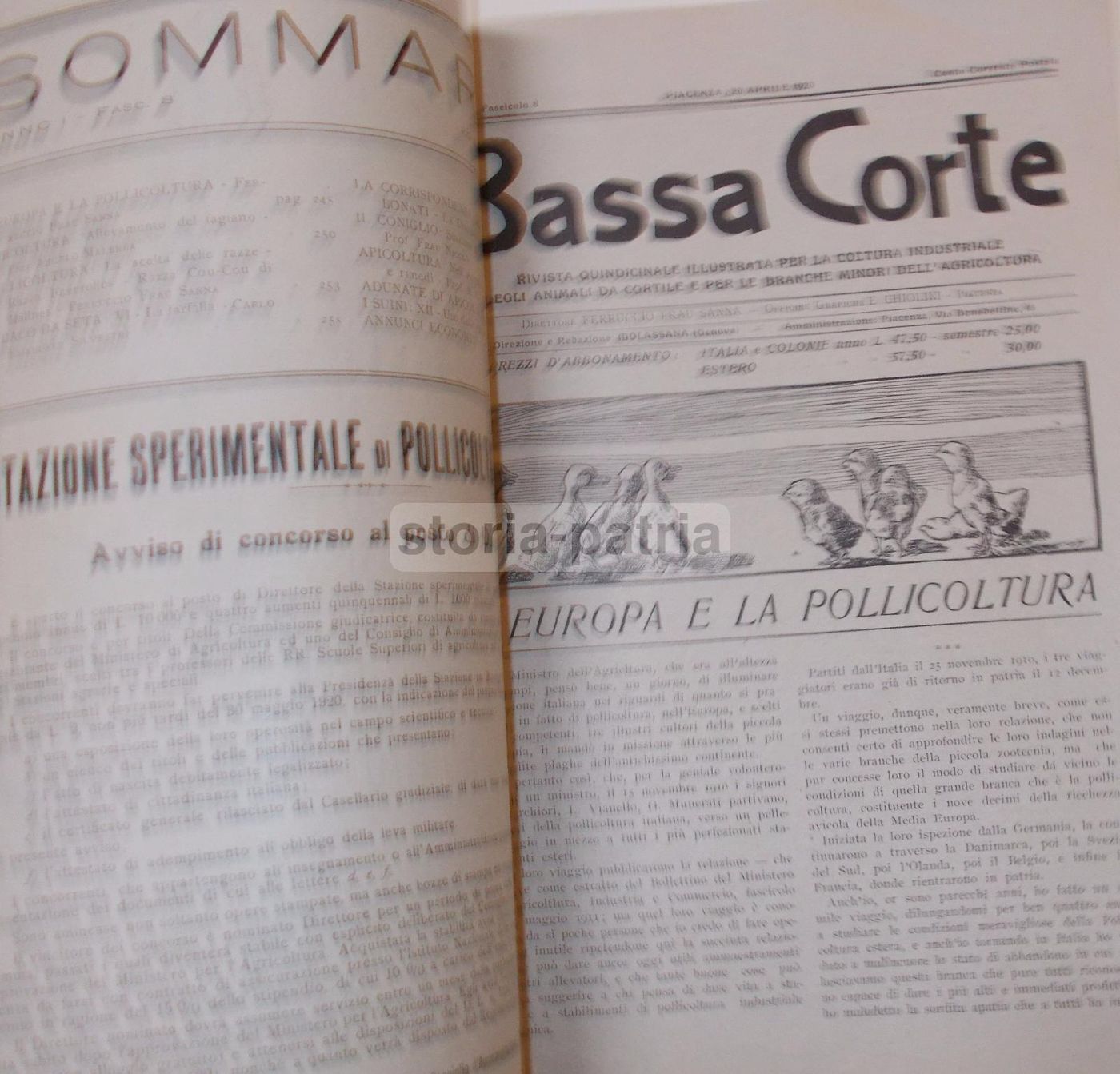 Rivista Bassa Corte 1920 Piacenza: Agricoltura, Zootecnia E Avicoltura