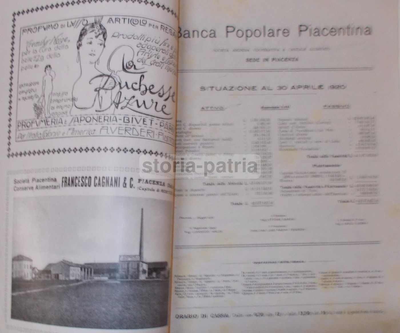 Rivista Bassa Corte 1920 Piacenza: Agricoltura, Zootecnia E Avicoltura