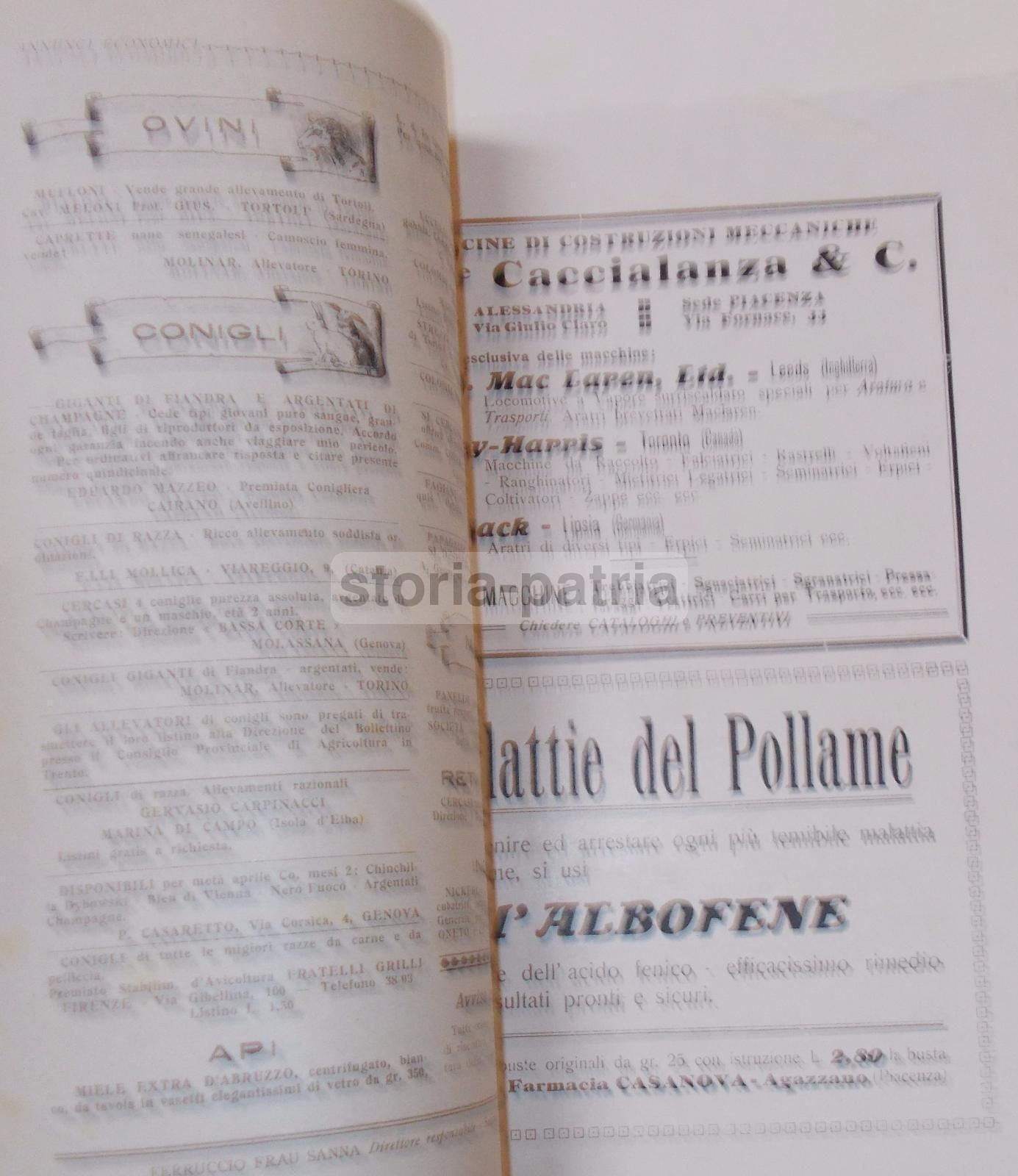 Rivista Bassa Corte 1920 Piacenza: Agricoltura, Zootecnia E Avicoltura