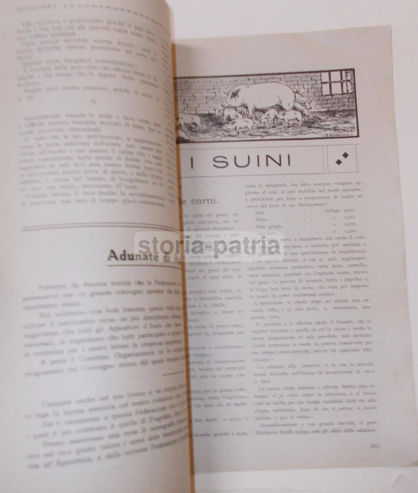 Rivista Bassa Corte 1920 Piacenza: Agricoltura, Zootecnia E Avicoltura