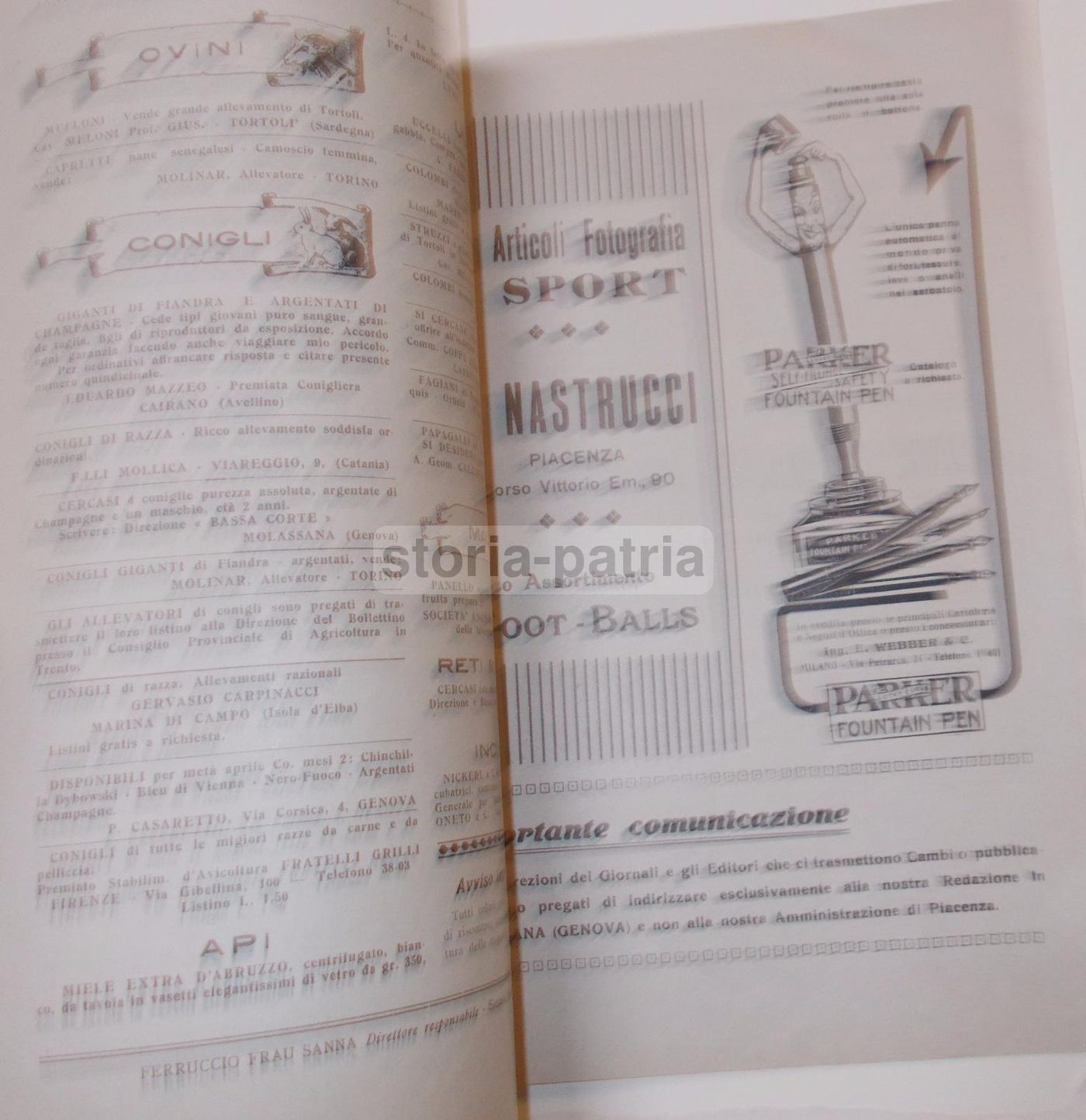 Rivista Bassa Corte 1920 Piacenza: Agricoltura, Zootecnia E Avicoltura