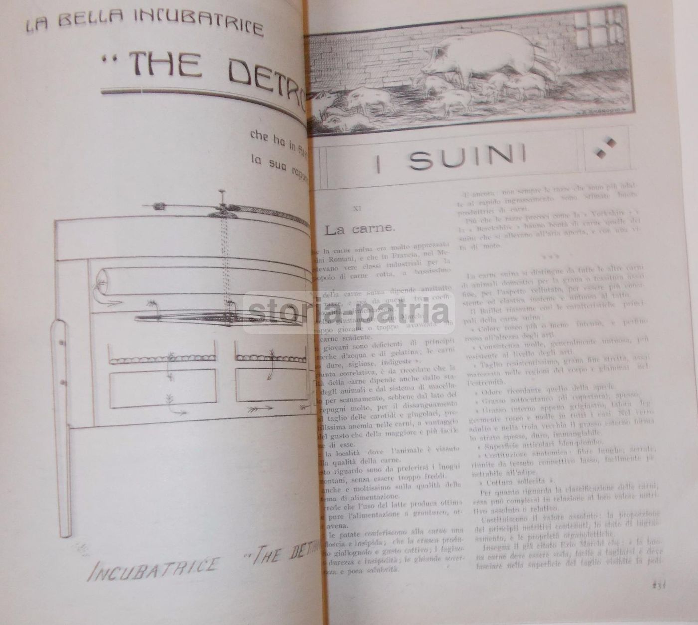 Rivista Bassa Corte 1920 Piacenza: Agricoltura, Zootecnia E Avicoltura