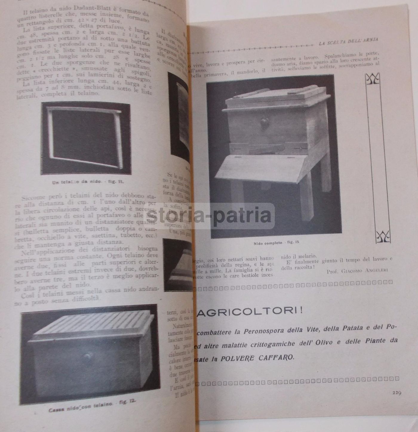 Rivista Bassa Corte 1920 Piacenza: Agricoltura, Zootecnia E Avicoltura
