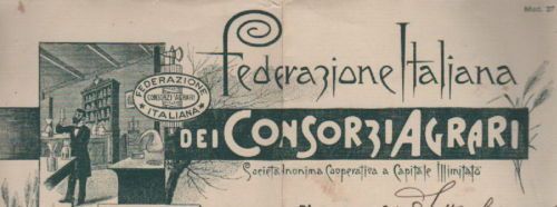 Carta Intestata Consorzi Agrari Piacenza 1896 Laboratorio Chimico