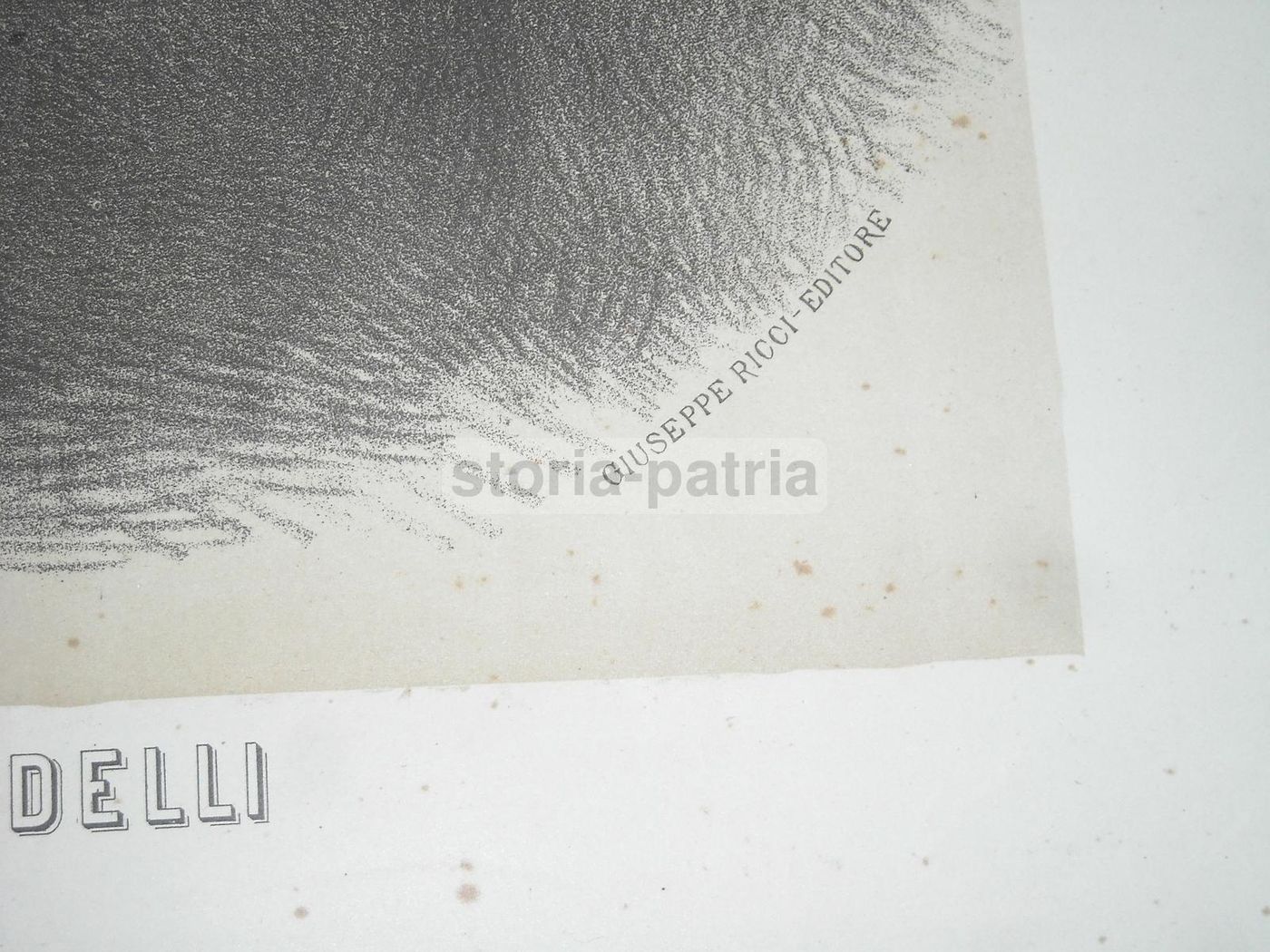 Manifesto Antico Giuseppe Zanardelli Ministro Grazia Giustizia Brescia