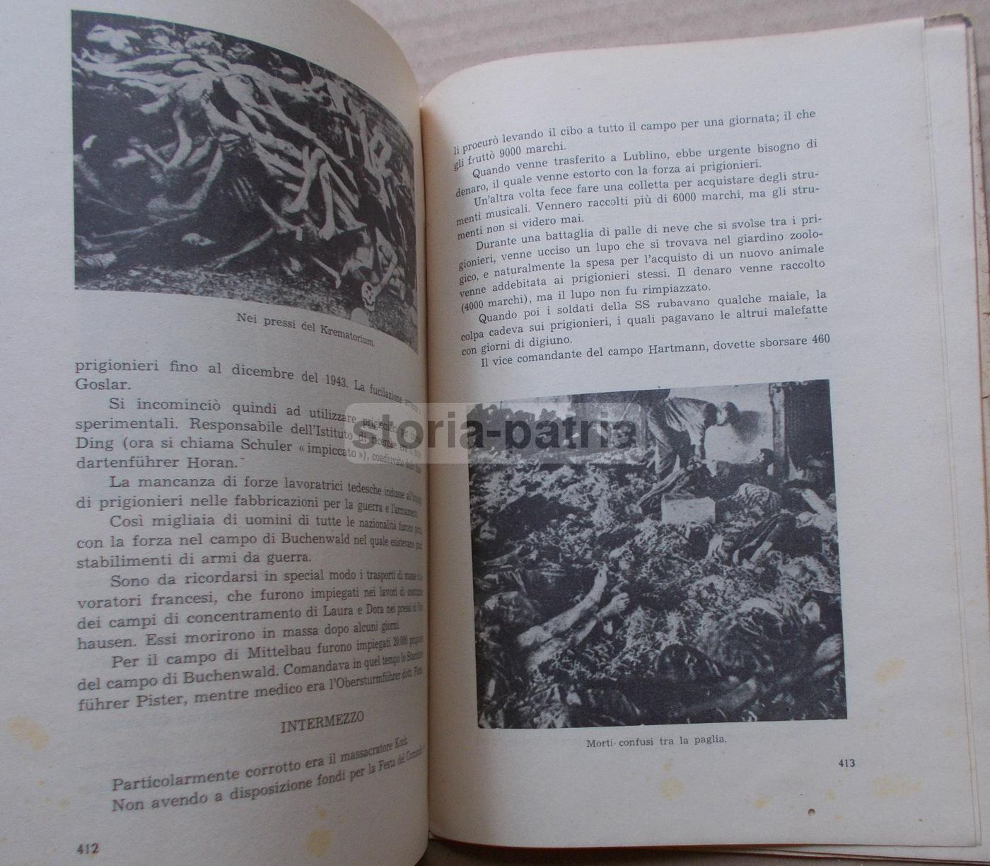 Centro Clandestino Orbet: Partigiani Antifascisti, Palmieri 1949