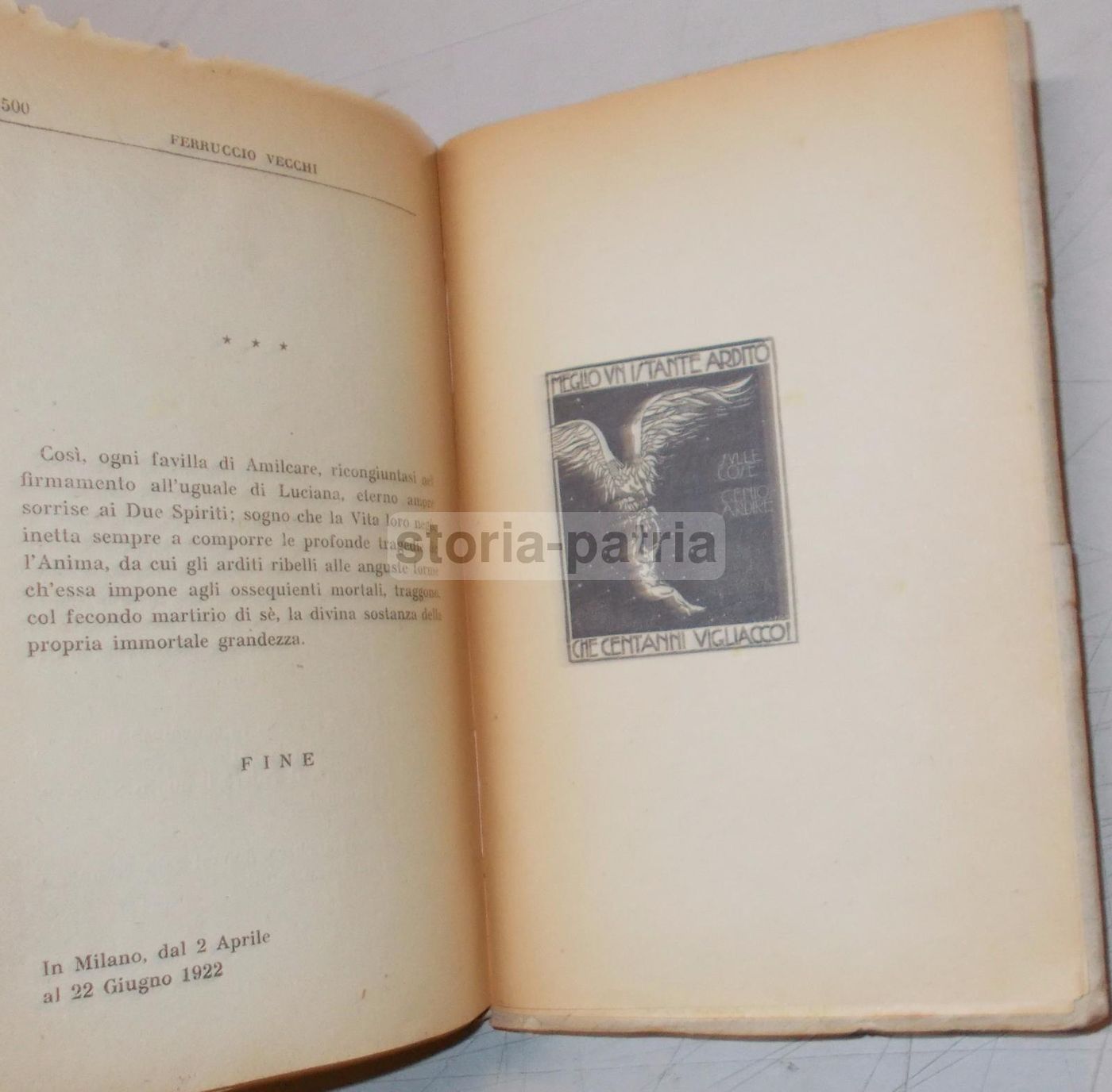 La Tragedia Del Mio Ardire, Ferruccio Vecchi, 1923 (illustrato Da Franco Felin)
