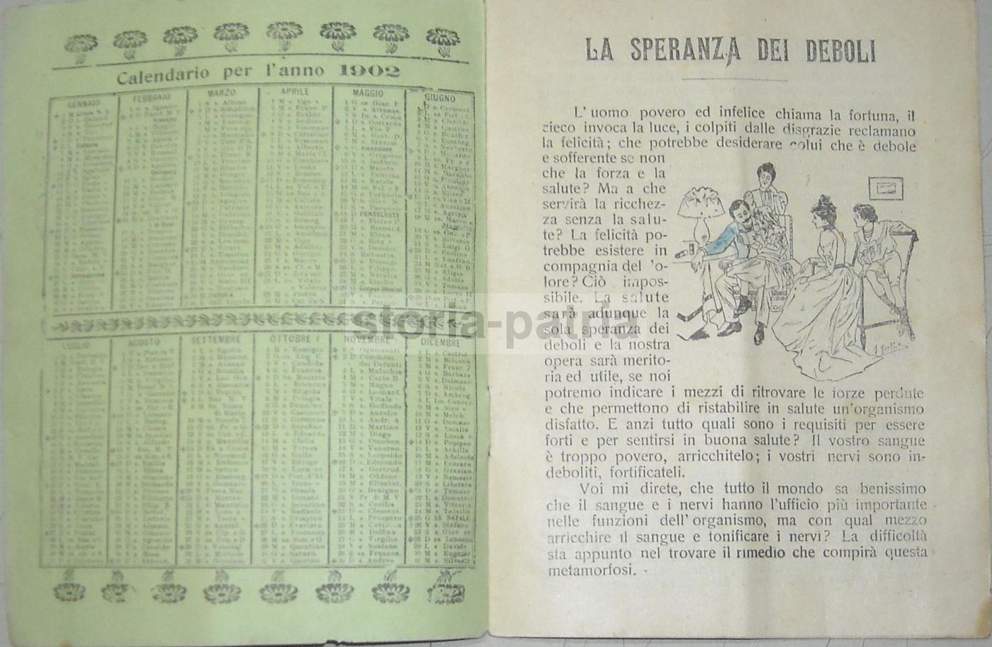 Libretto Pubblicitario Pillole Pink E Scavuline, Ditta Merenda, Milano 1902