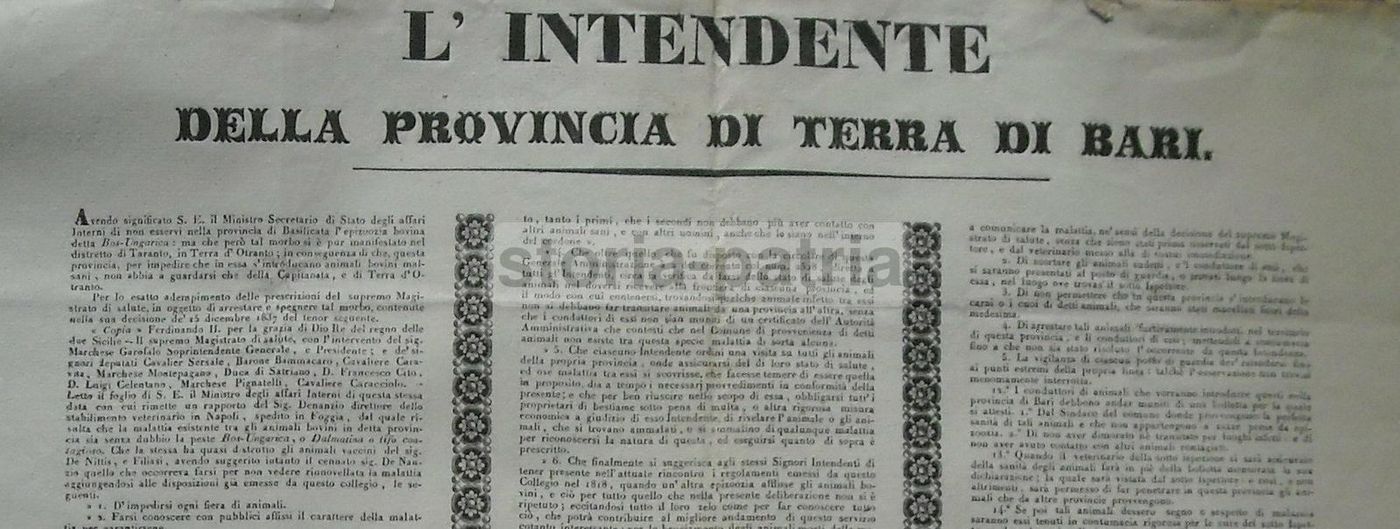 Manifesto Epizoozia Bovina, Terra Di Bari, 1838