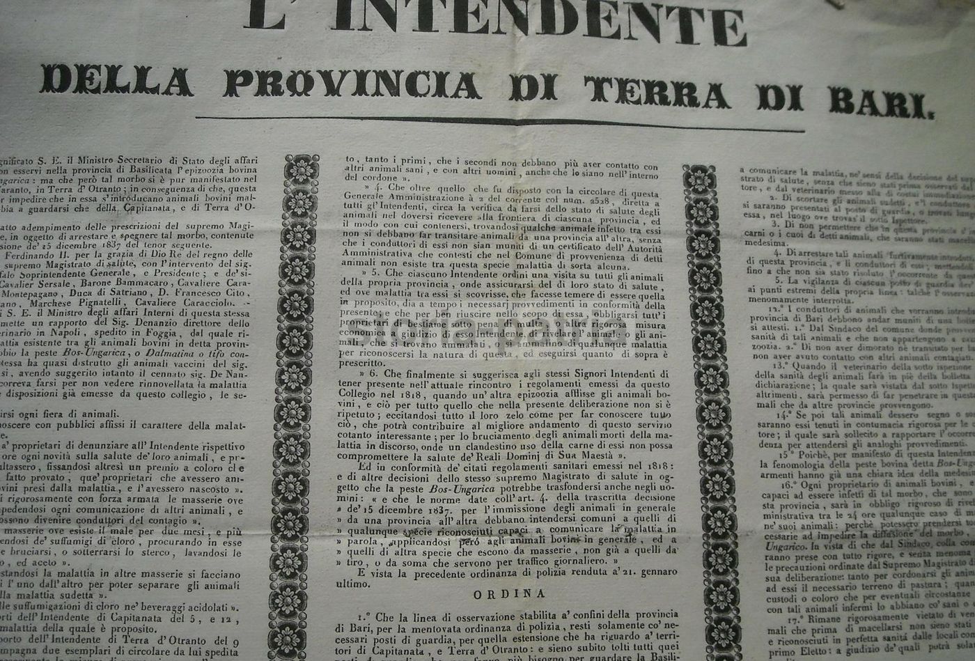 Manifesto Epizoozia Bovina, Terra Di Bari, 1838