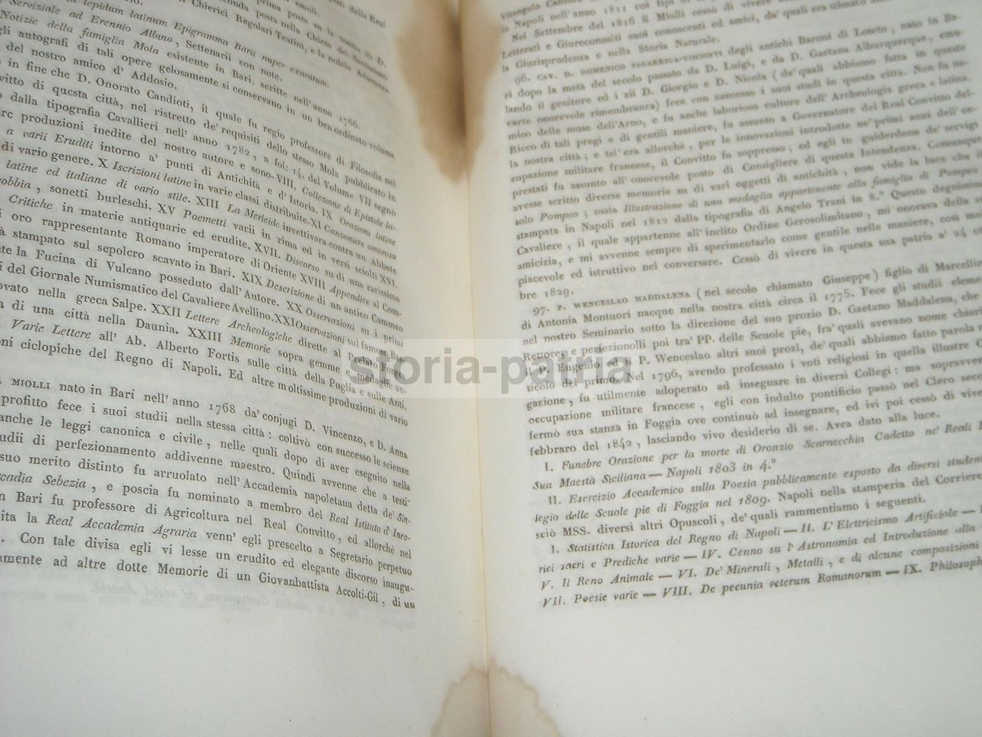Serie Critica De' Sacri Pastori Baresi, Michele Garruba, 1844, Bari, Cannone