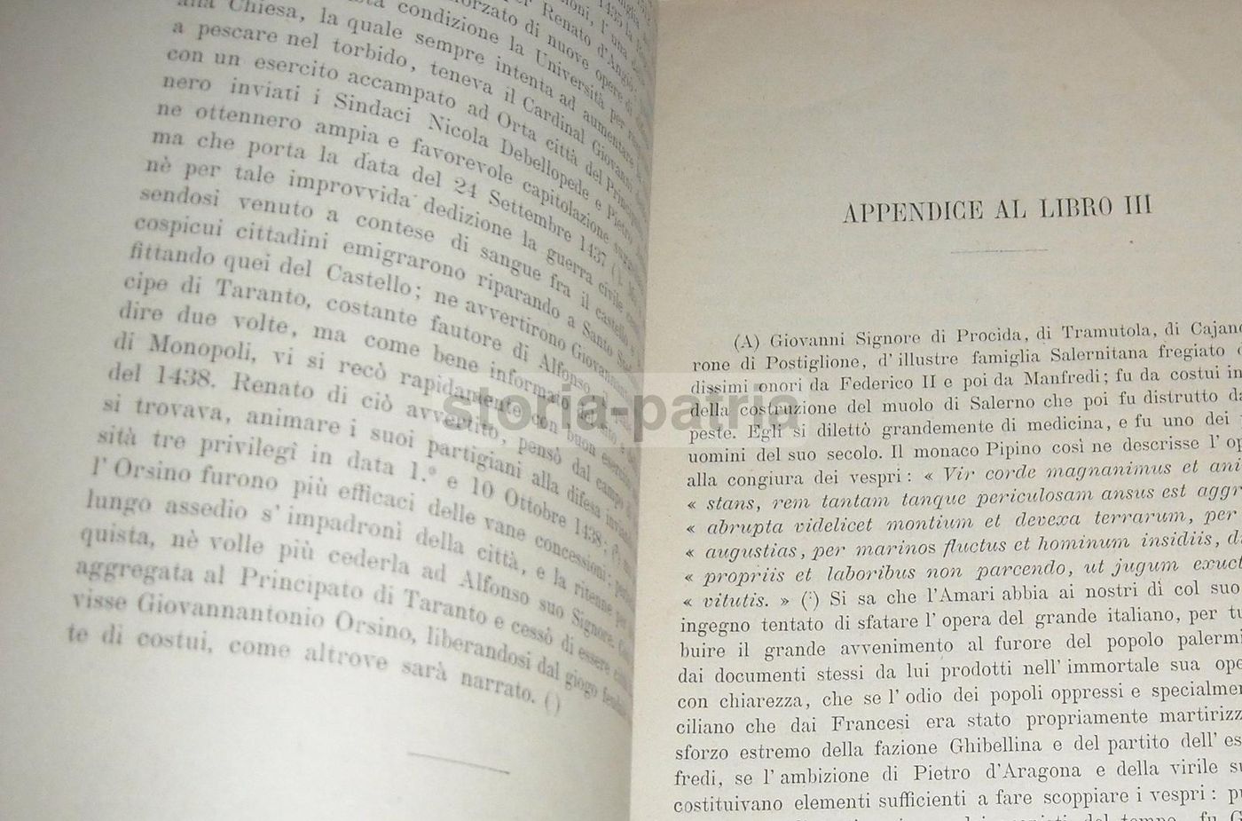Monopoli E La Monarchia Delle Puglie, Luigi Finamore Pepe, 1897