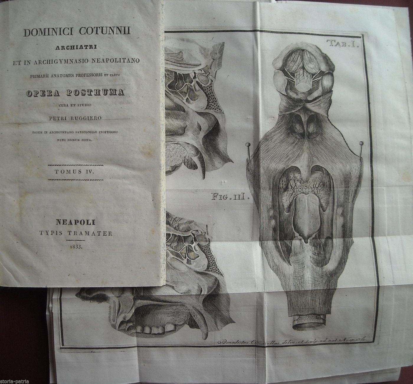 Opera Postuma Di Domenico Cotugno: Fisiologia Dello Starnuto Con Tavole Anatomiche (1833)