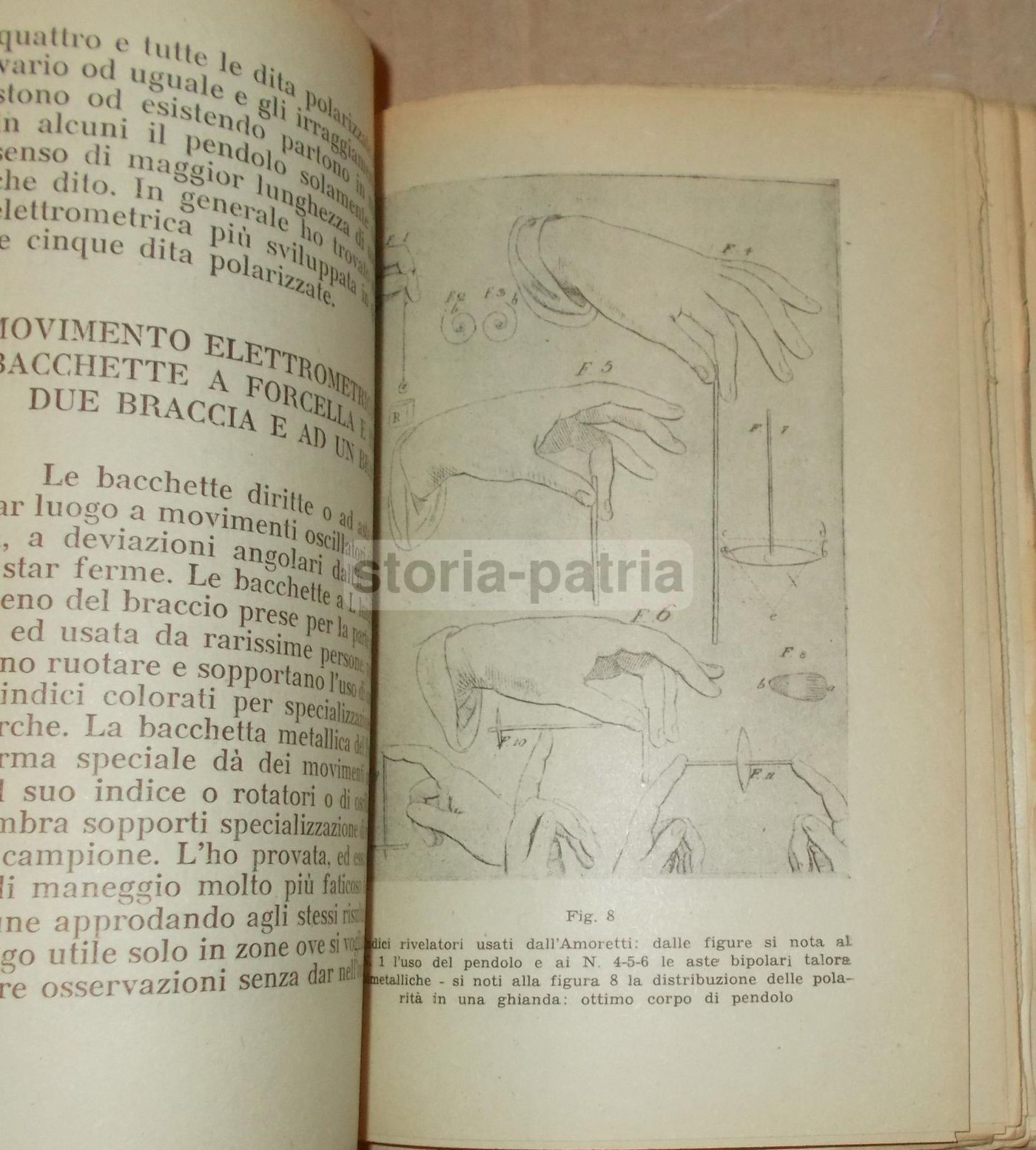 Elementi Di Elettrometria Umana: Radiestesia. Luigi Filonardi, 1947