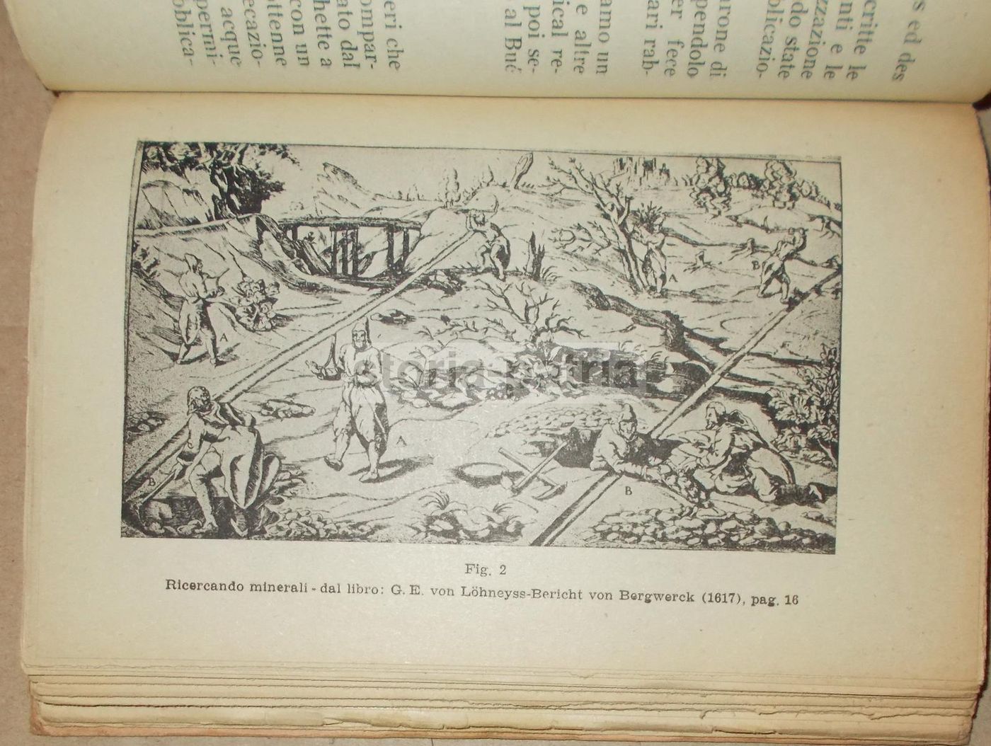 Elementi Di Elettrometria Umana: Radiestesia. Luigi Filonardi, 1947