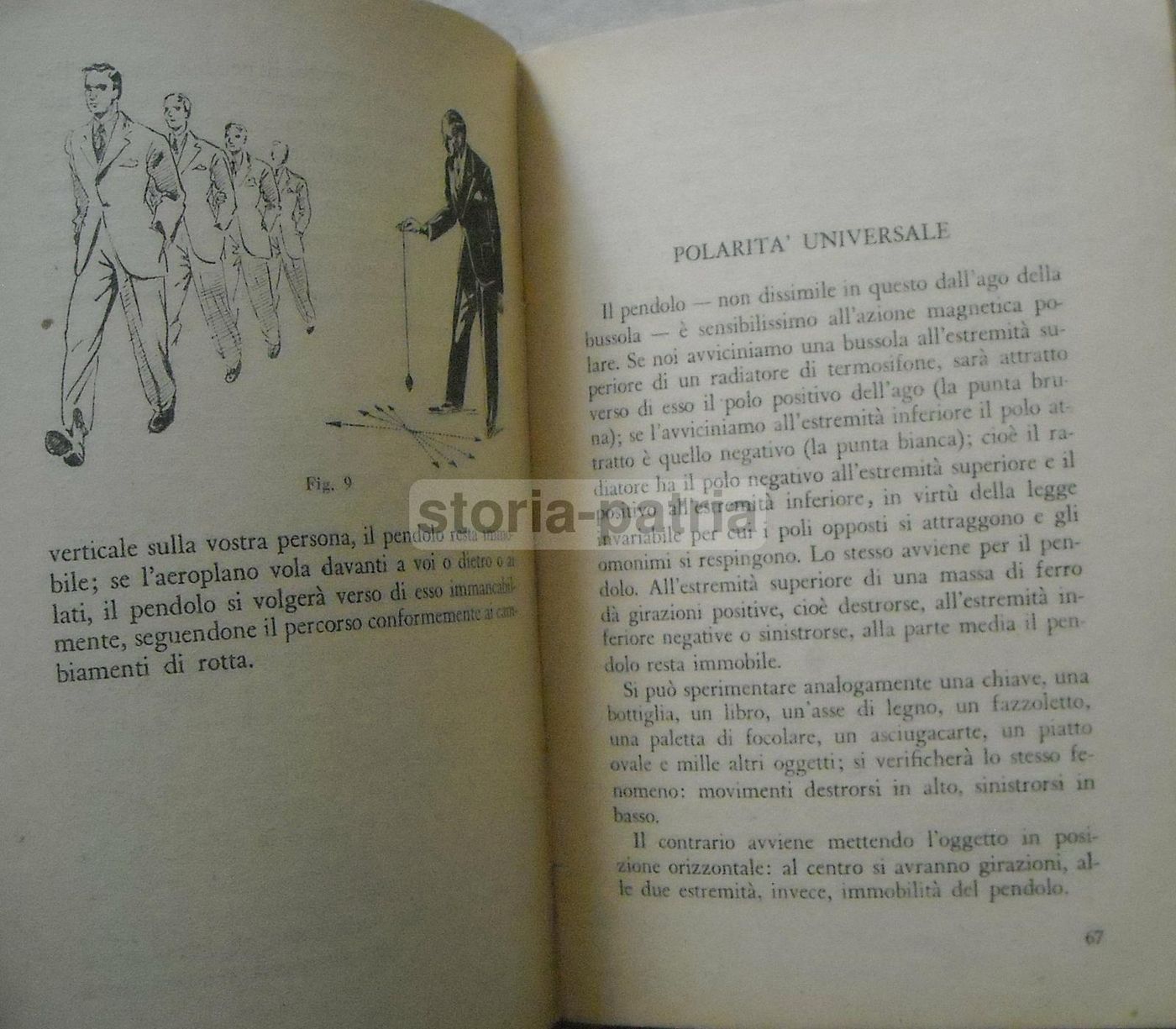 Radiestesia Di Sebastiano Fontecuccon   Edizione Curcio (anni '50)