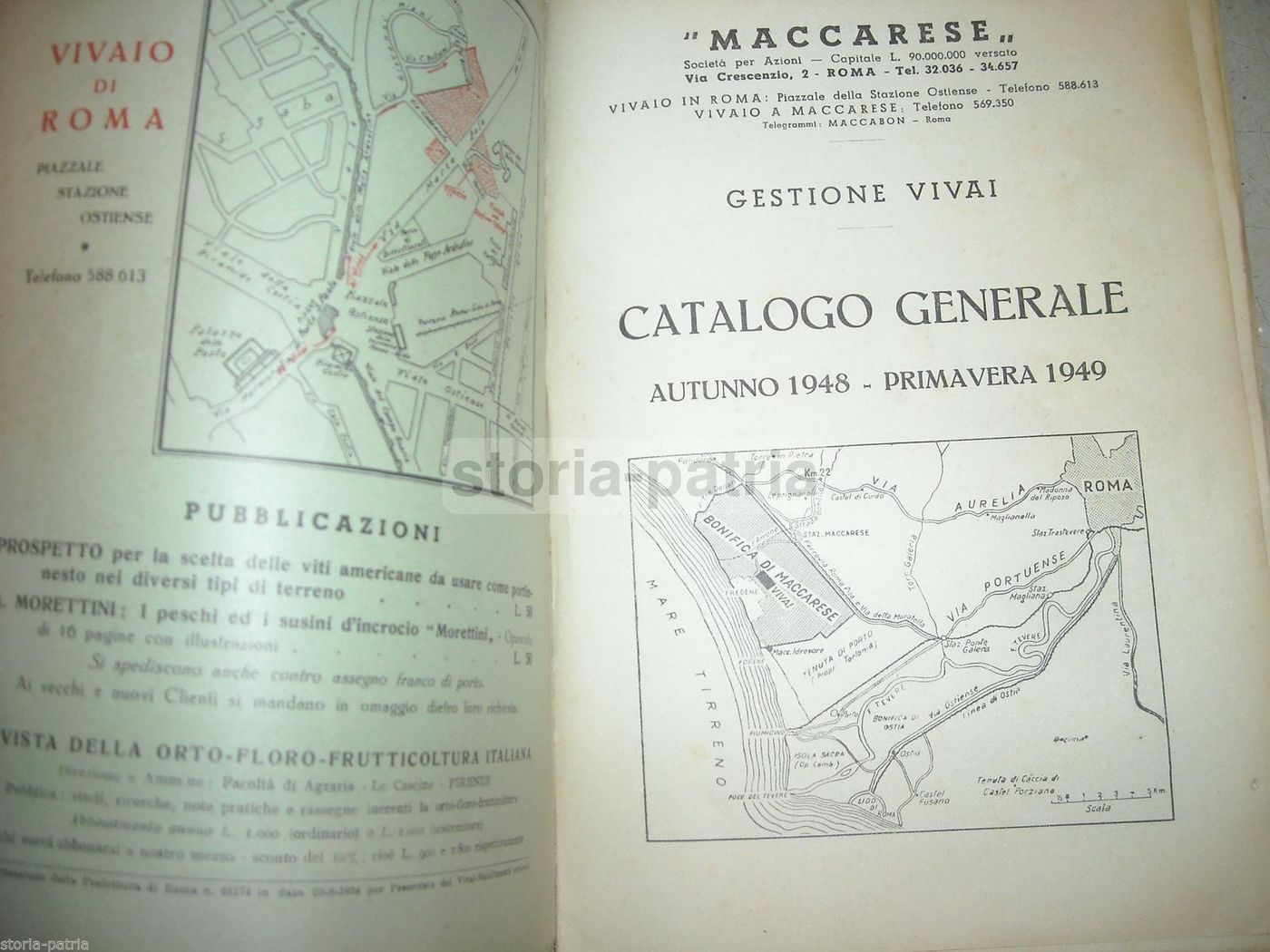 Catalogo Vivai Maccarese, Roma 1948 1949. Piante, Frutta E Viti