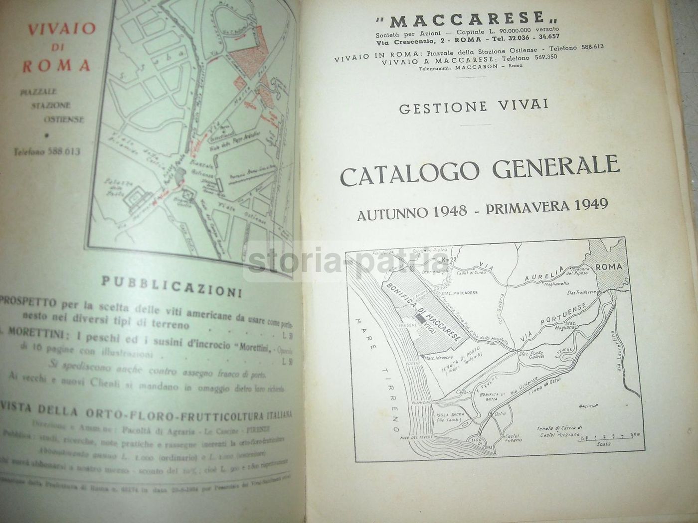 Catalogo Vivai Maccarese, Roma 1948 1949. Piante, Frutta E Viti