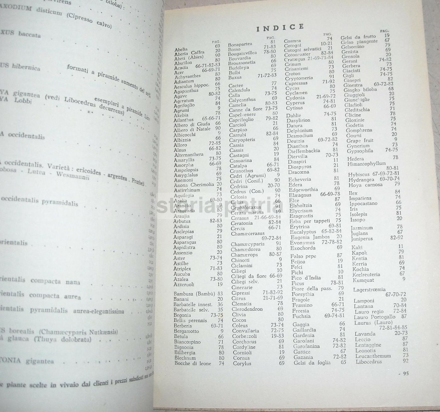 Catalogo Vivai Maccarese, Roma 1948 1949. Piante, Frutta E Viti
