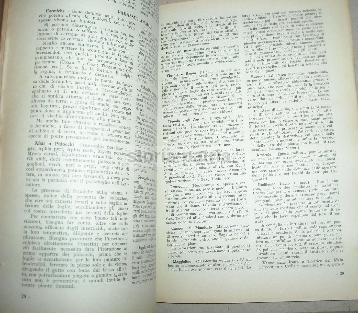 Catalogo Vivai Maccarese, Roma 1948 1949. Piante, Frutta E Viti