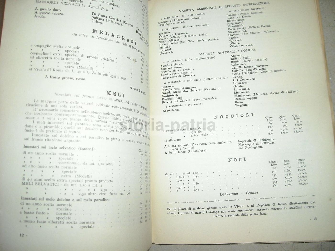 Catalogo Vivai Maccarese, Roma 1948 1949. Piante, Frutta E Viti