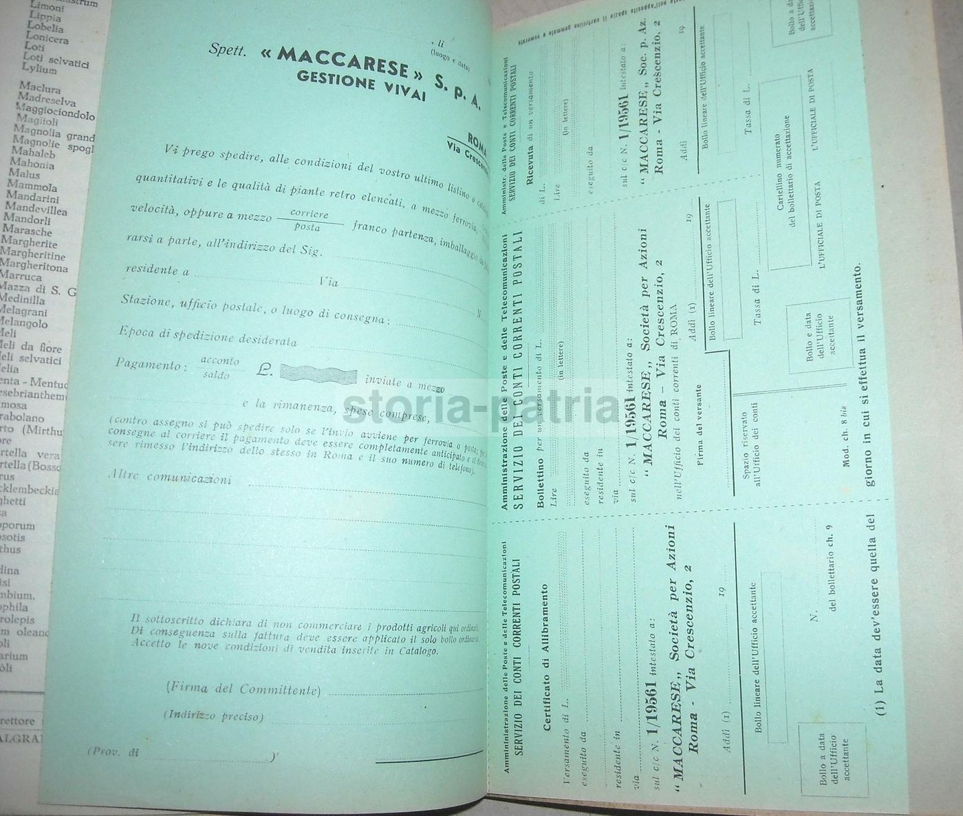 Catalogo Vivai Maccarese, Roma 1948 1949. Piante, Frutta E Viti