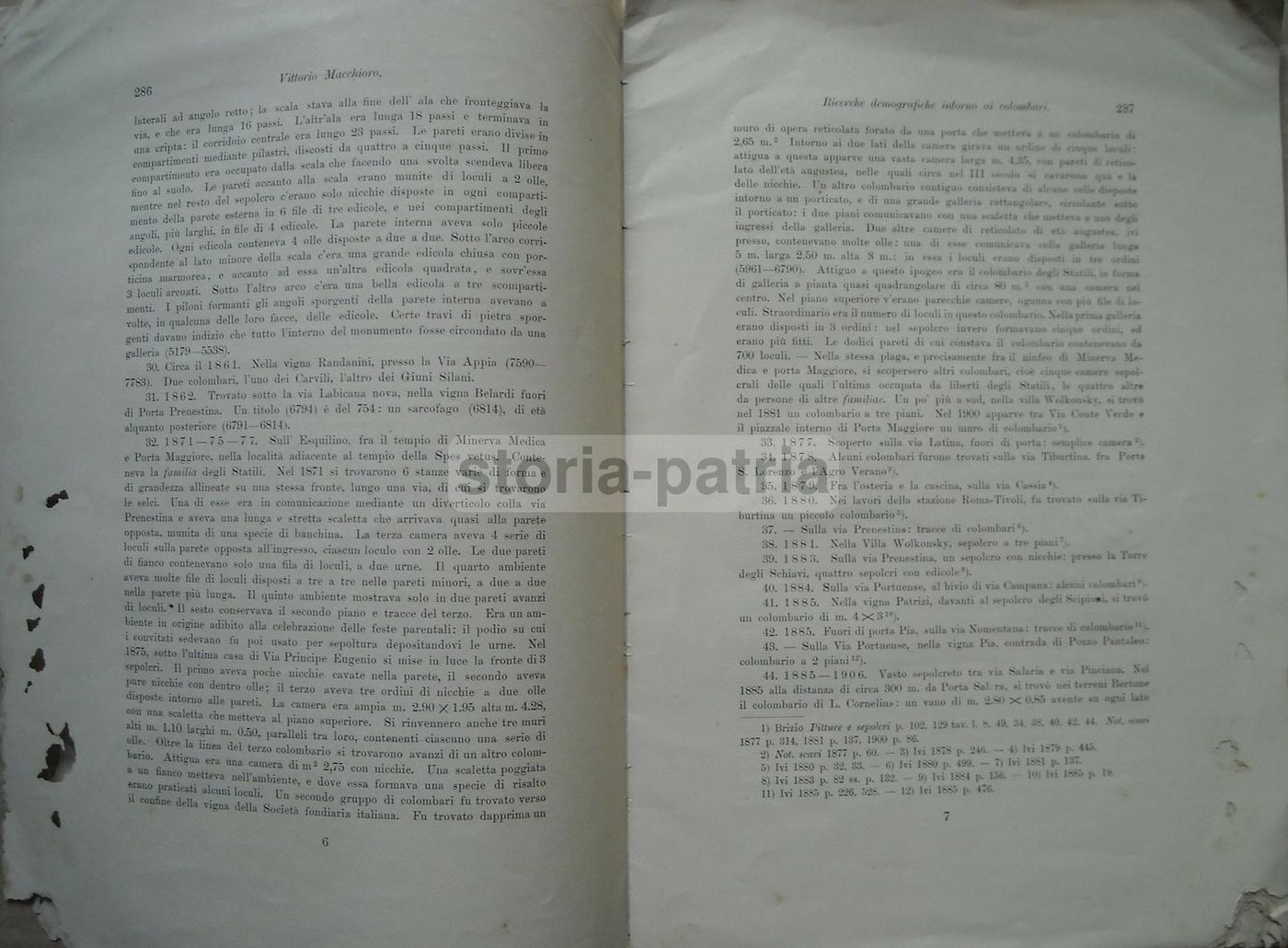 Ricerche Demografiche Intorno Ai Colombari Romani, Vittorio Macchioro, 1908