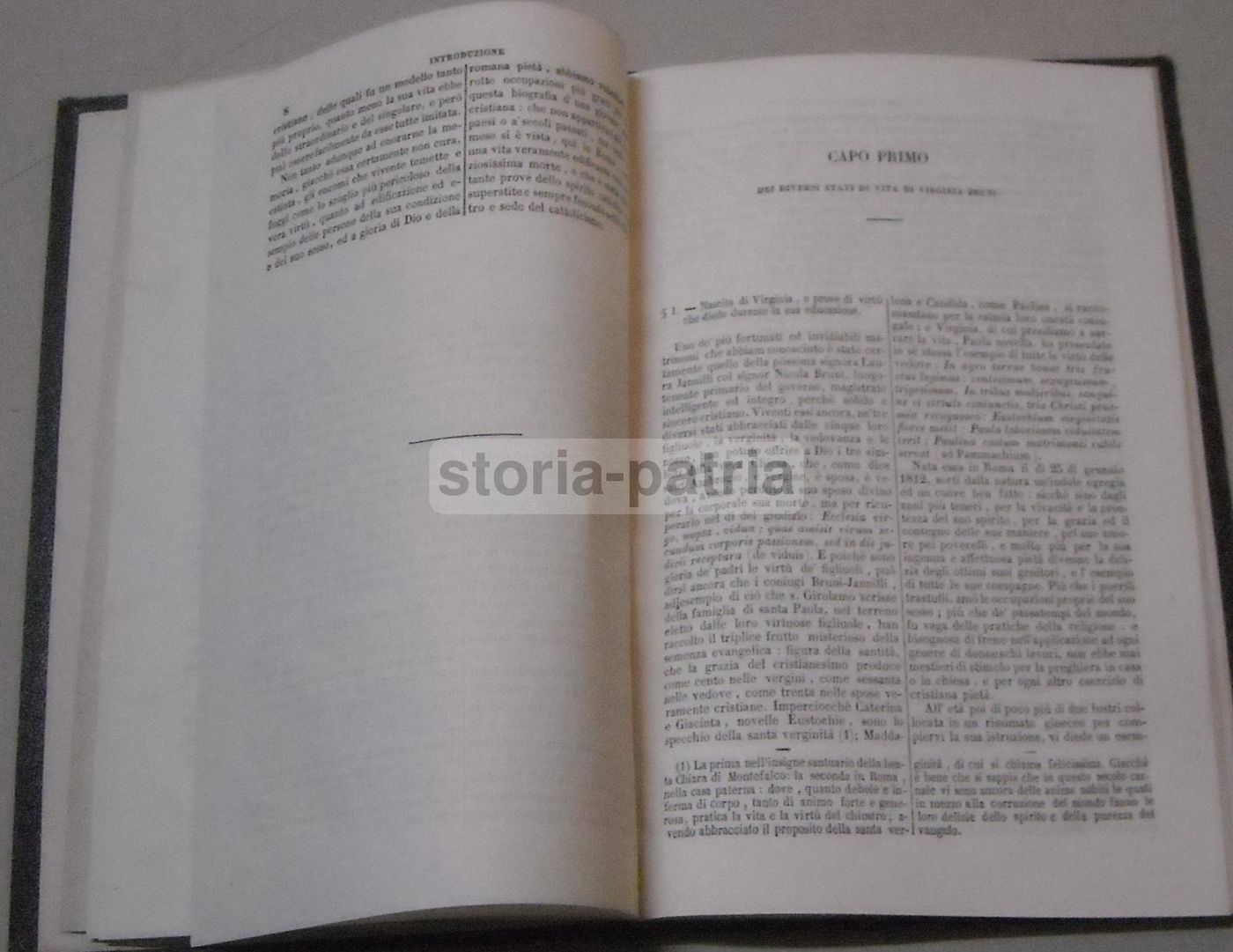 La Donna Cristiana: Biografia Di Virginia Bruni Vedova Romana (Ventura, 1861)