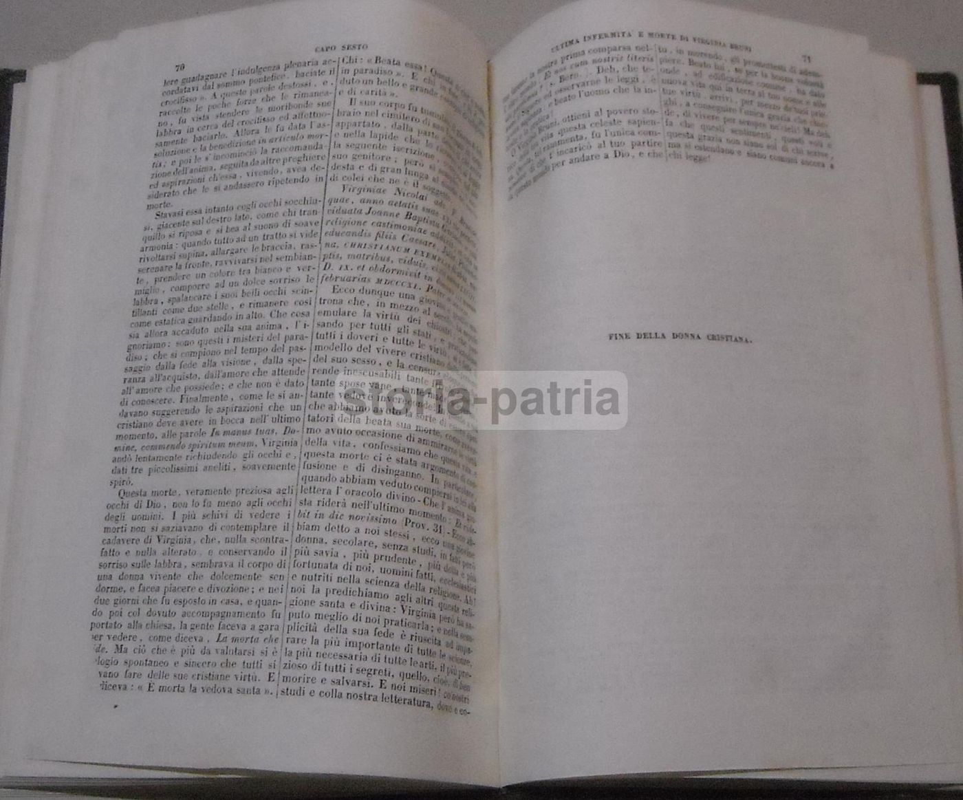 La Donna Cristiana: Biografia Di Virginia Bruni Vedova Romana (Ventura, 1861)