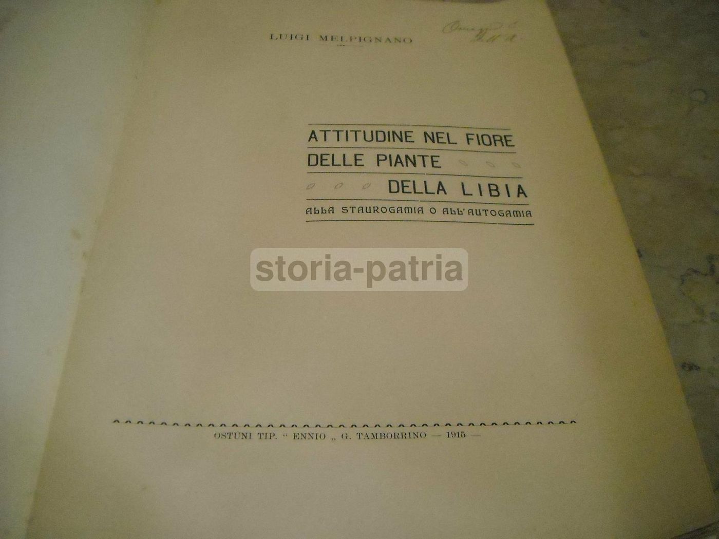 Melpignano: Botanica Della Libia, 1915. Staurogamia E Autogamia, Ostuni