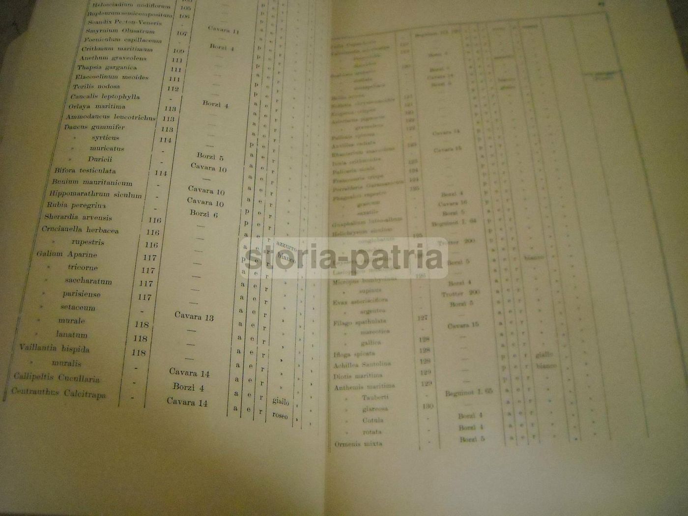 Melpignano: Botanica Della Libia, 1915. Staurogamia E Autogamia, Ostuni