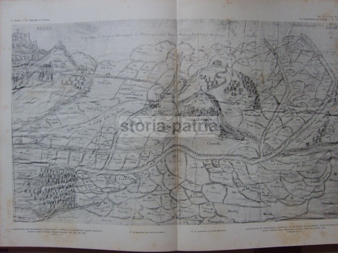 La Certosa Di Padula: Antonio Sacco (1914 1930), 4 Volumi Con Tavole E Mappe