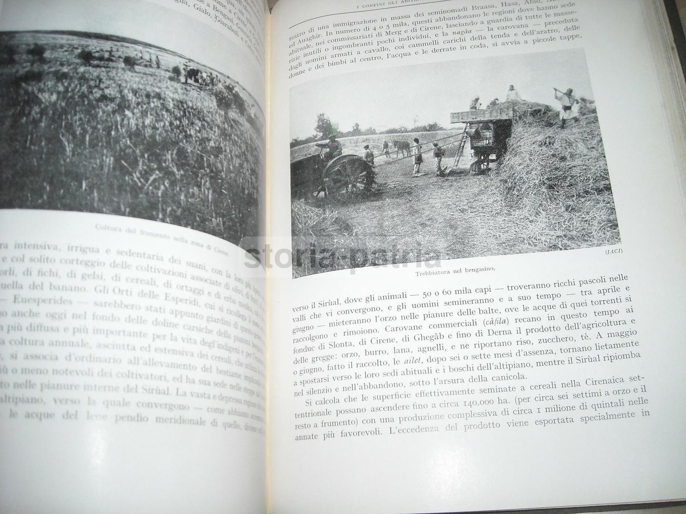 Le Colonie: Rodi E Le Isole Italiane Dell'Egeo (1928)   Stefanini E Desio