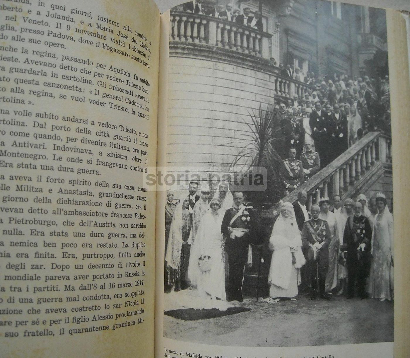 La Principessa Martire Mafalda Di Savoia Di Dino Campini 1955