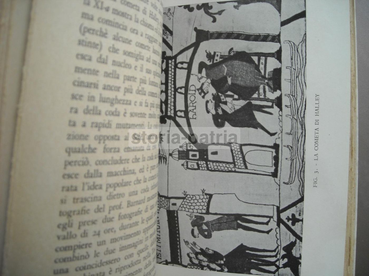 Mondi Senza Fine: Spencer Jones, 1940. Astronomia, Stelle, Comete, Luna
