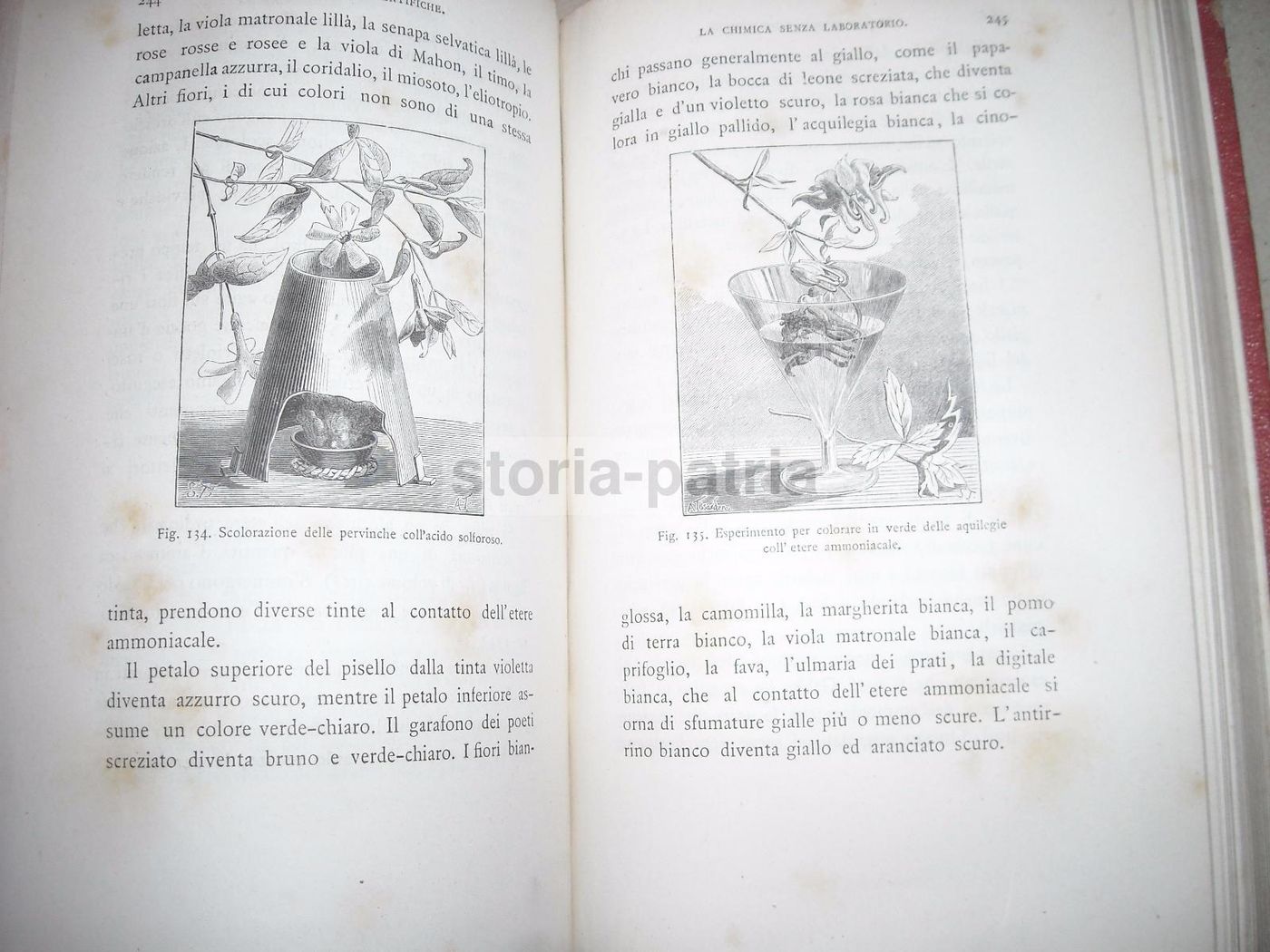 Le Ricreazioni Scientifiche. Insegnamento Coi Giuochi Di Gastone Tissandier, Treves, 1882