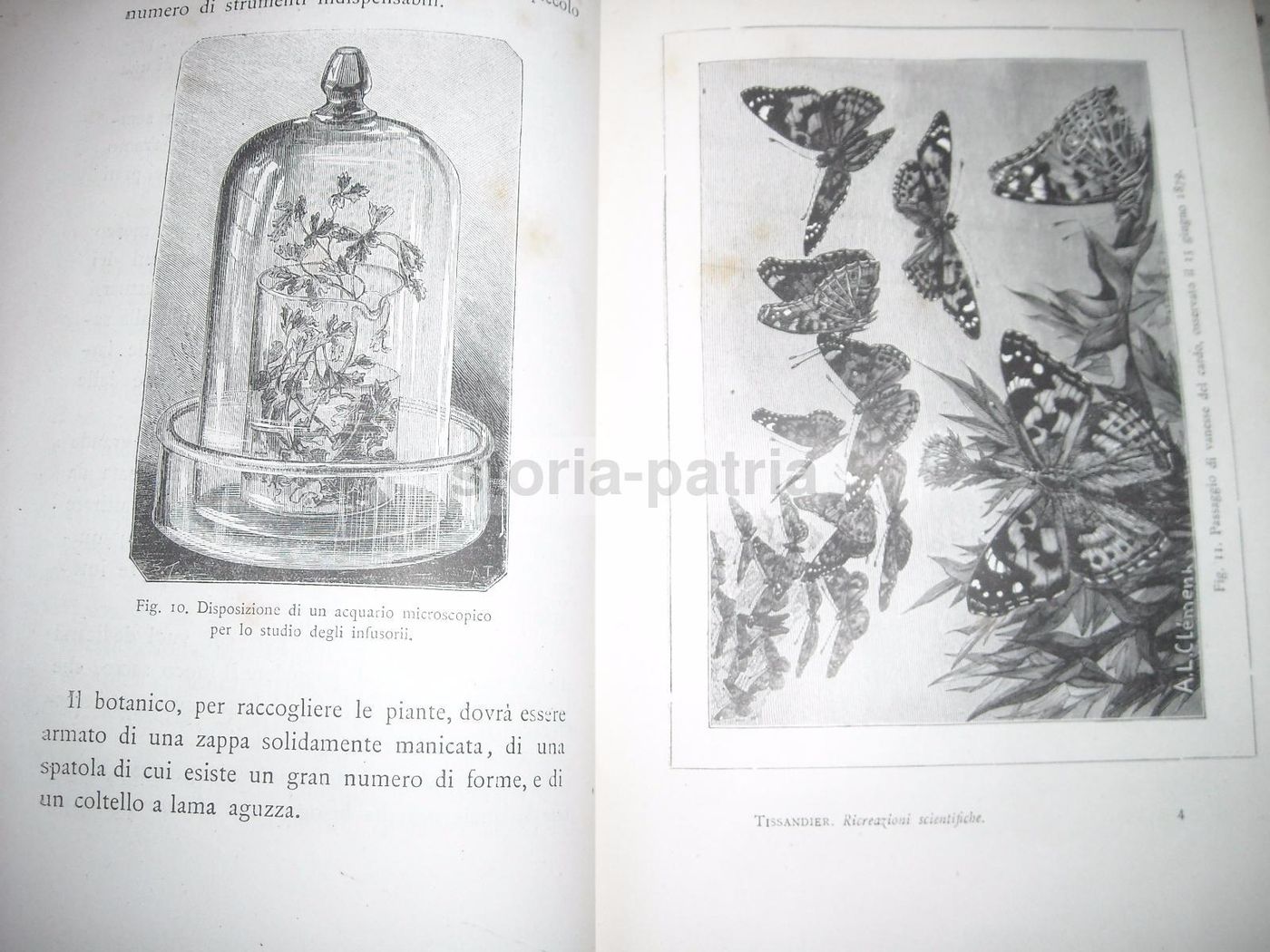 Le Ricreazioni Scientifiche. Insegnamento Coi Giuochi Di Gastone Tissandier, Treves, 1882